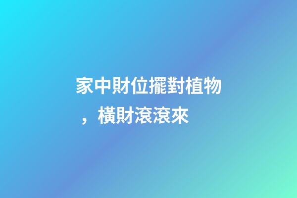 家中財位擺對植物，橫財滾滾來